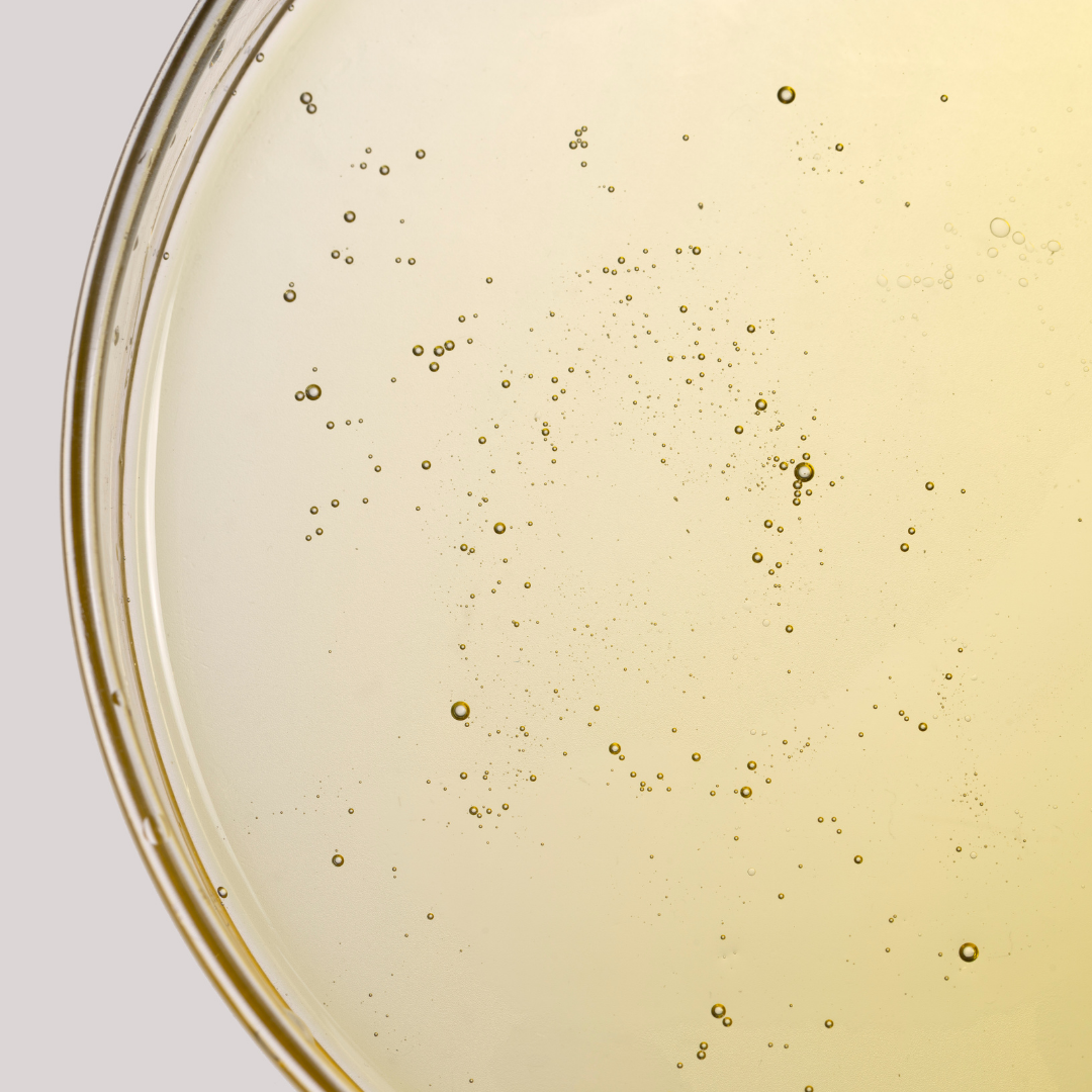 Close up of texture of the dreamy oil cleanser